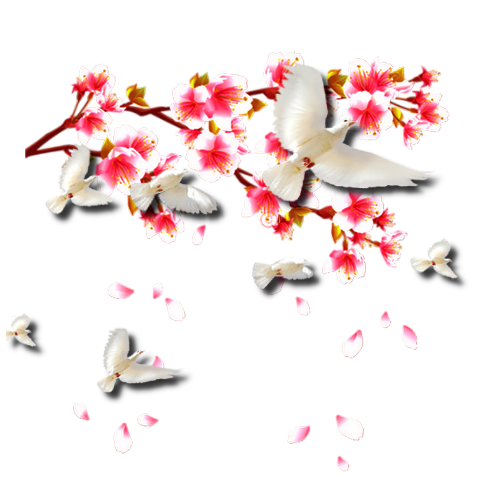 Tubes PNG" Composition de fleurs, oiseaux ,papillon, abeille" Cjoa