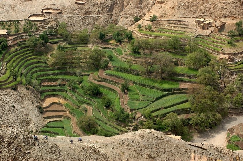 Agriculture marocaine Dduz