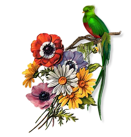 Tubes PNG" Composition de fleurs, oiseaux ,papillon, abeille" M0a9