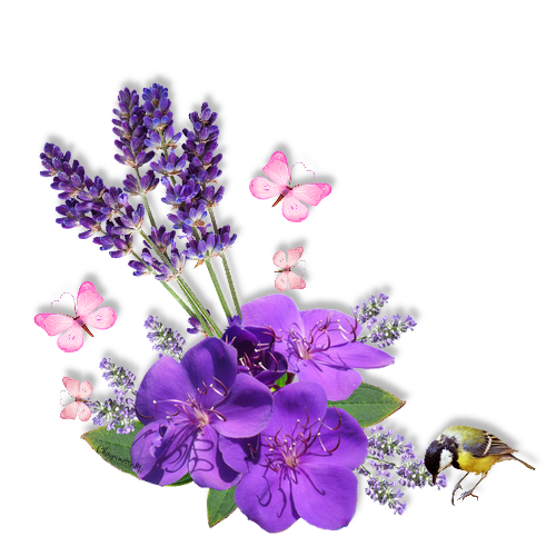 Tubes PNG" Composition de fleurs, oiseaux ,papillon, abeille" Pyzg