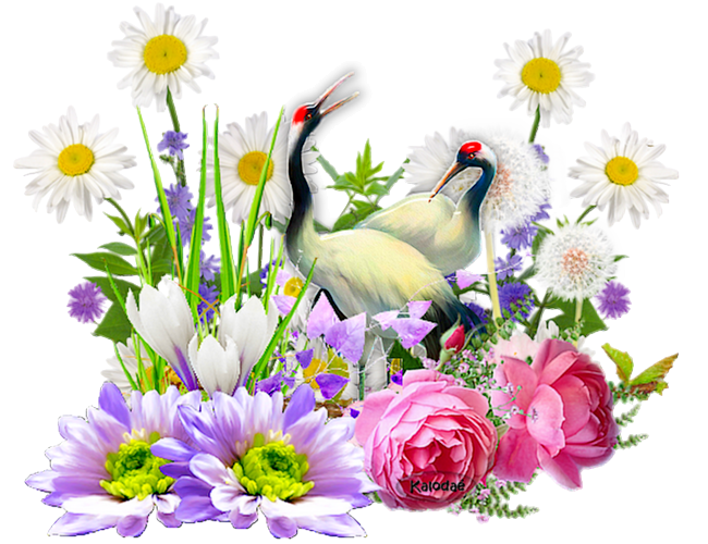 Tubes PNG" Composition de fleurs, oiseaux ,papillon, abeille" 4fdd