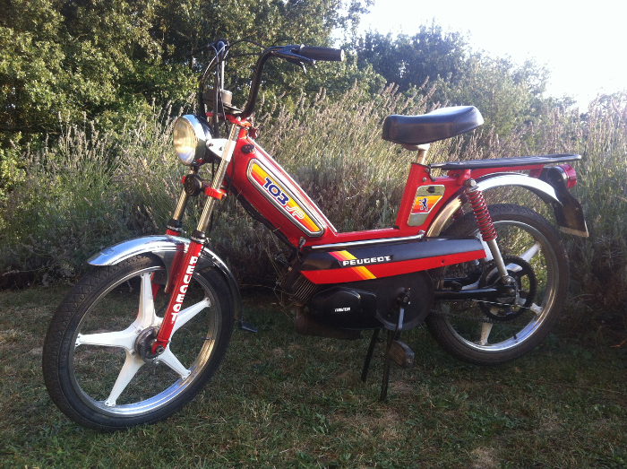 j144.jpg