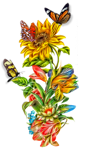Tubes PNG" Composition de fleurs, oiseaux ,papillon, abeille" P6d3