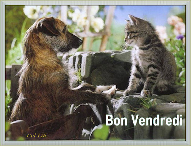 BONJOUR ET BONSOIR DE JUIN ....................... Ulzr