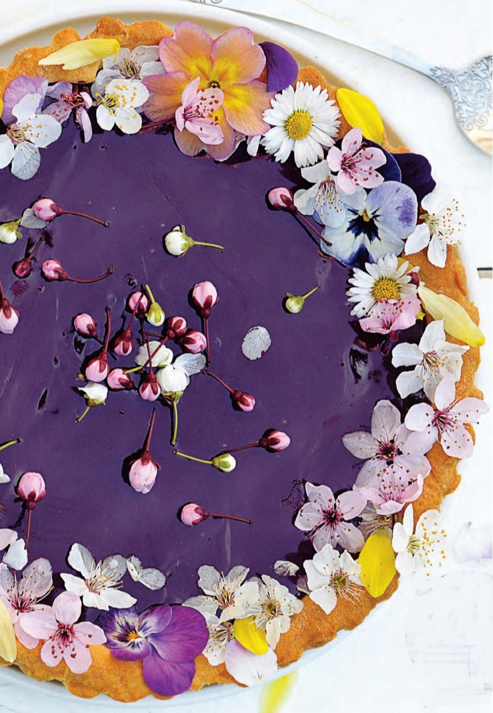 Tarte au cassis 01 Kg7w