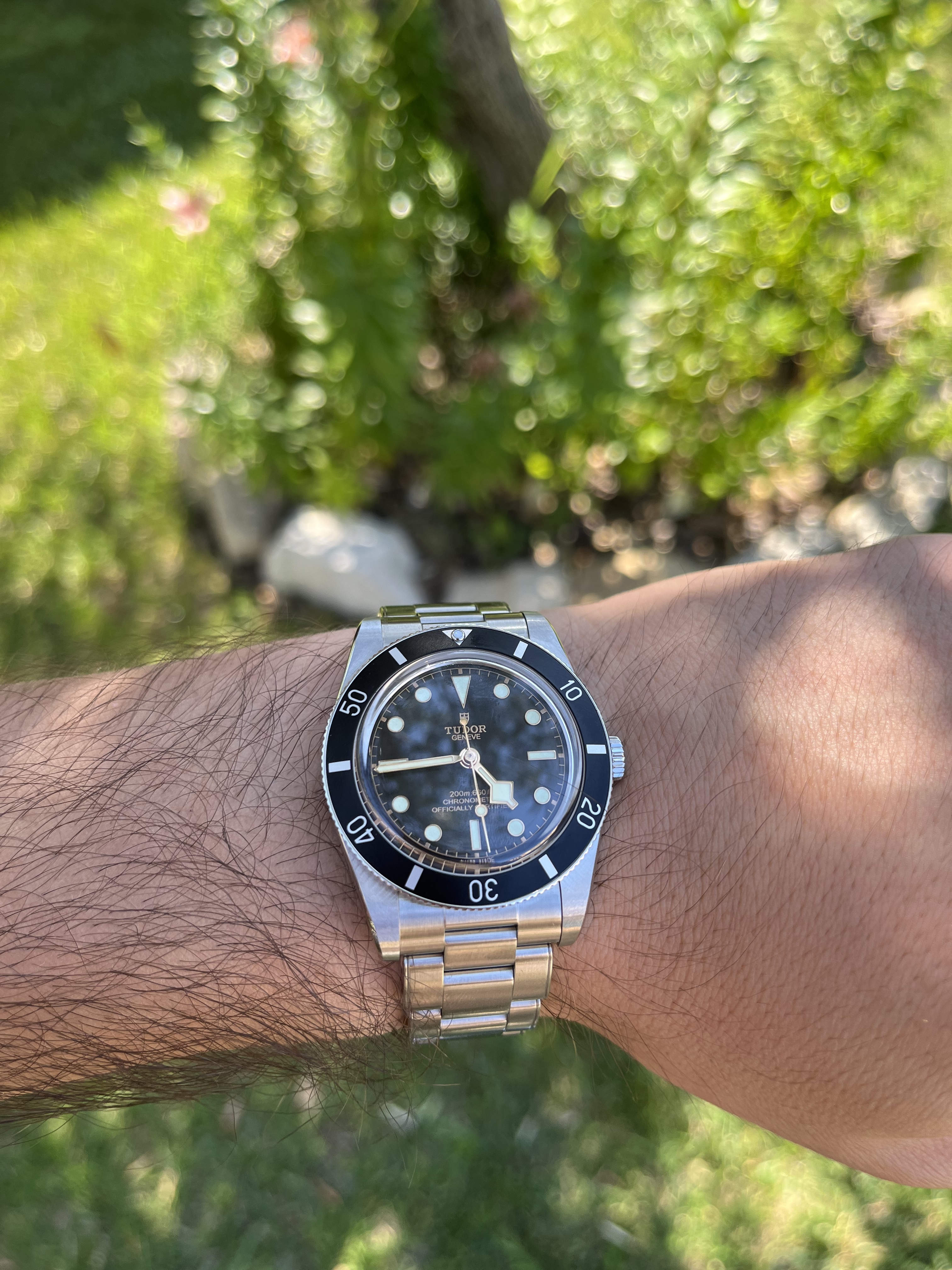 Blackbay58 vs blackbay54 vs Pelagos39 vs Explorer Qcp6