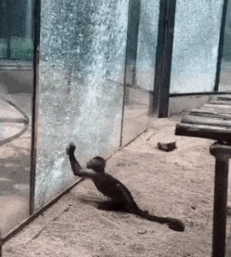 https://zupimages.net/up/23/28/kvp3.gif