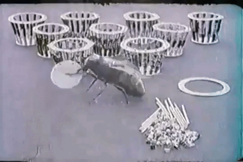 https://zupimages.net/up/23/28/l8ez.gif