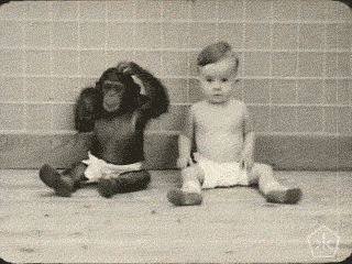 https://zupimages.net/up/23/29/dooo.gif