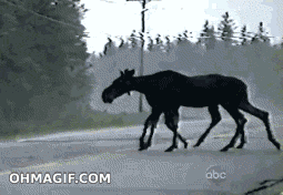 https://zupimages.net/up/23/30/f1u7.gif