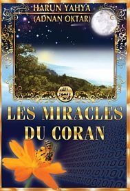 Les prétendus "miracles" du coran Phvl