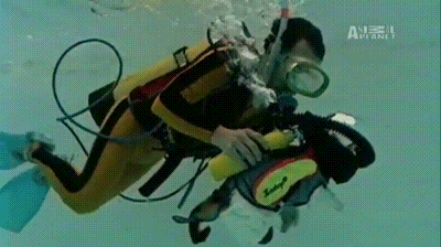 https://zupimages.net/up/23/30/wakr.gif