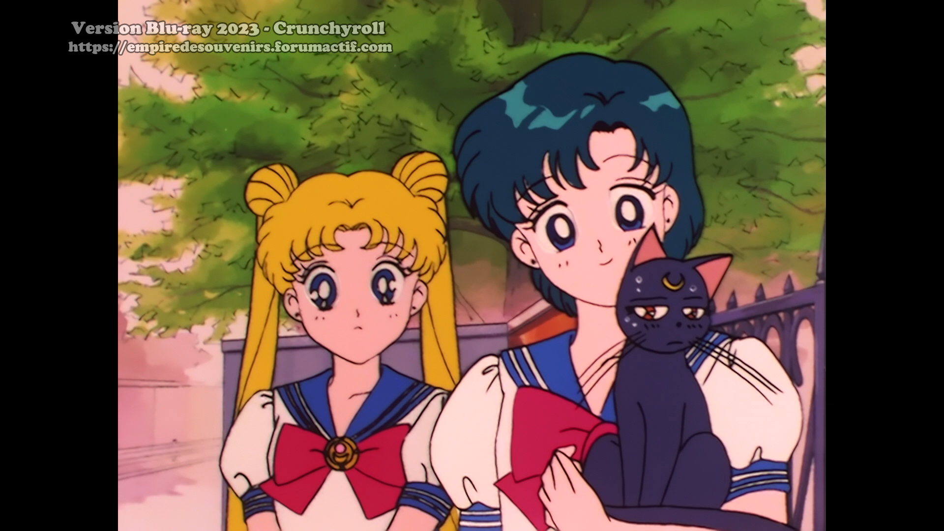 Critique Blu-ray - Sailor Moon - Crunchyroll 25hi