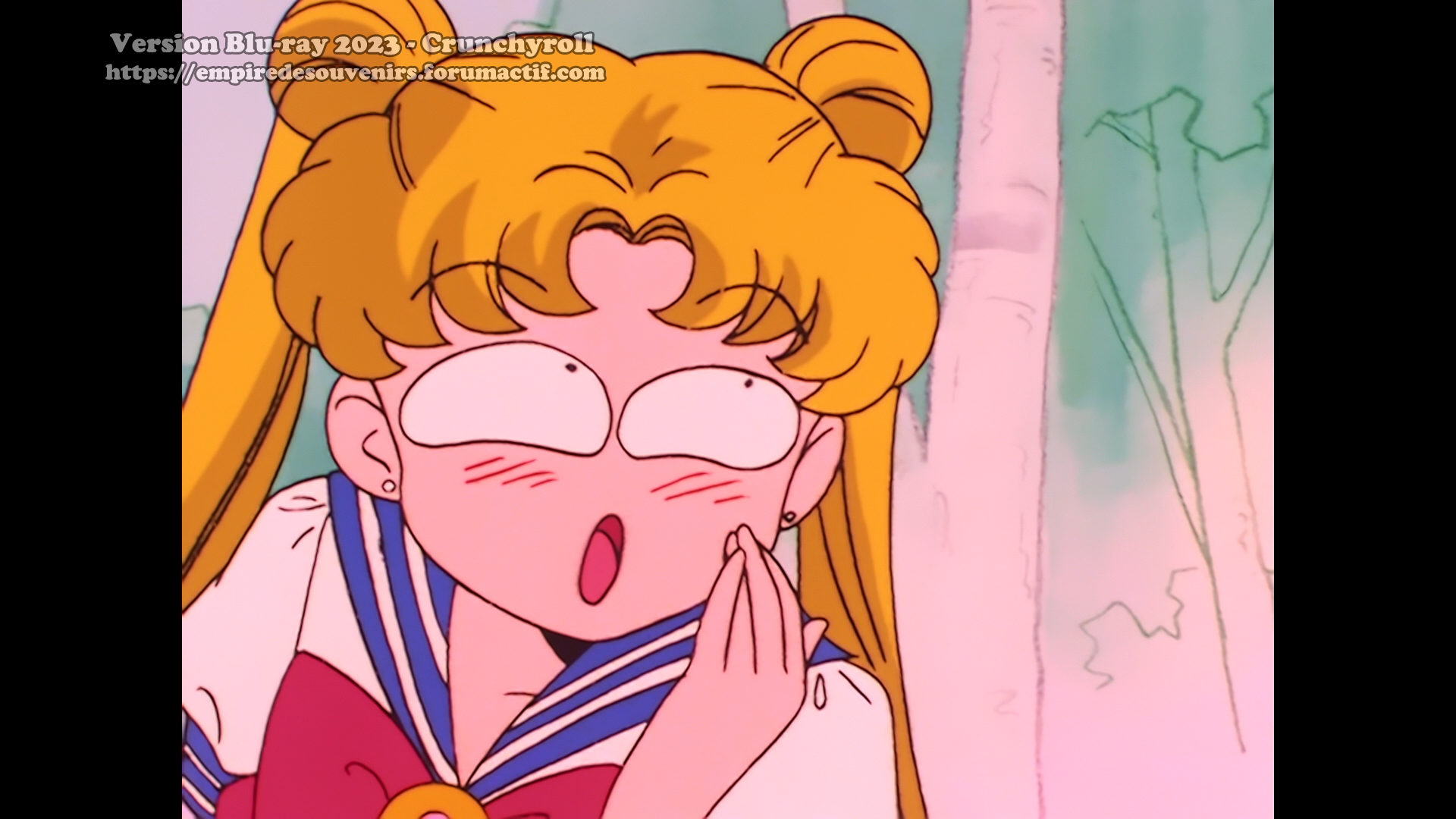 Critique Blu-ray - Sailor Moon - Crunchyroll 2foz