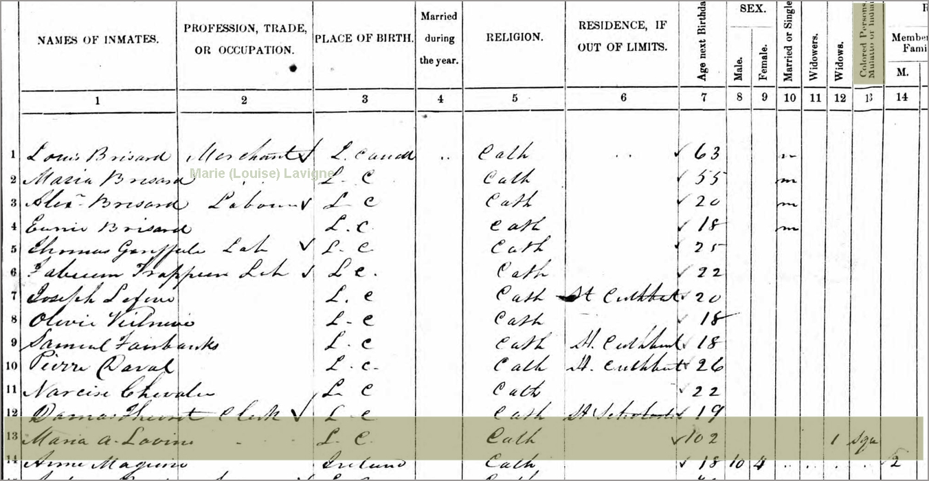 recensment de 1861, Pontiac, Île du Grand-Calumet