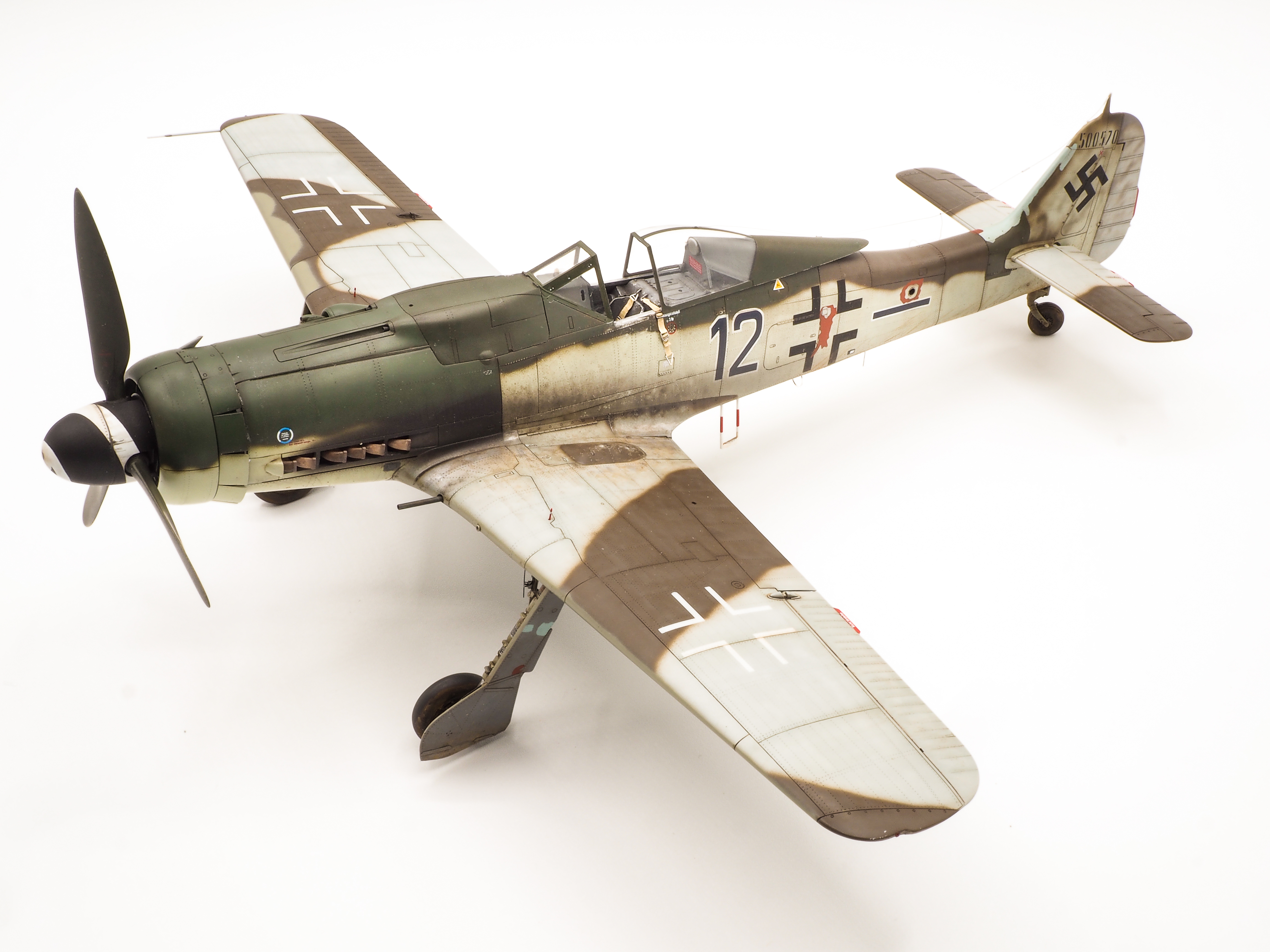 [Hasegawa] Focke-Wulf Fw-190D-9 et D-11  1/32 O70c
