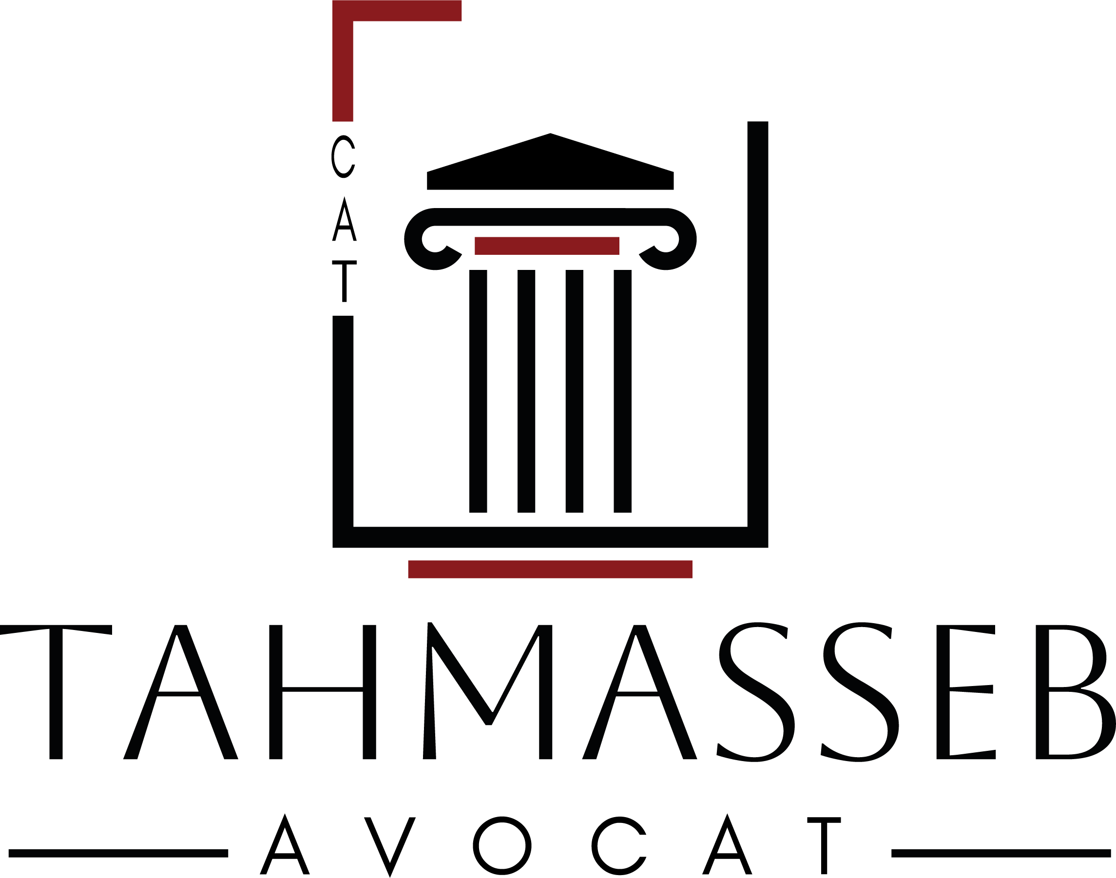 Camille Amir Tahmasseb - Avocat