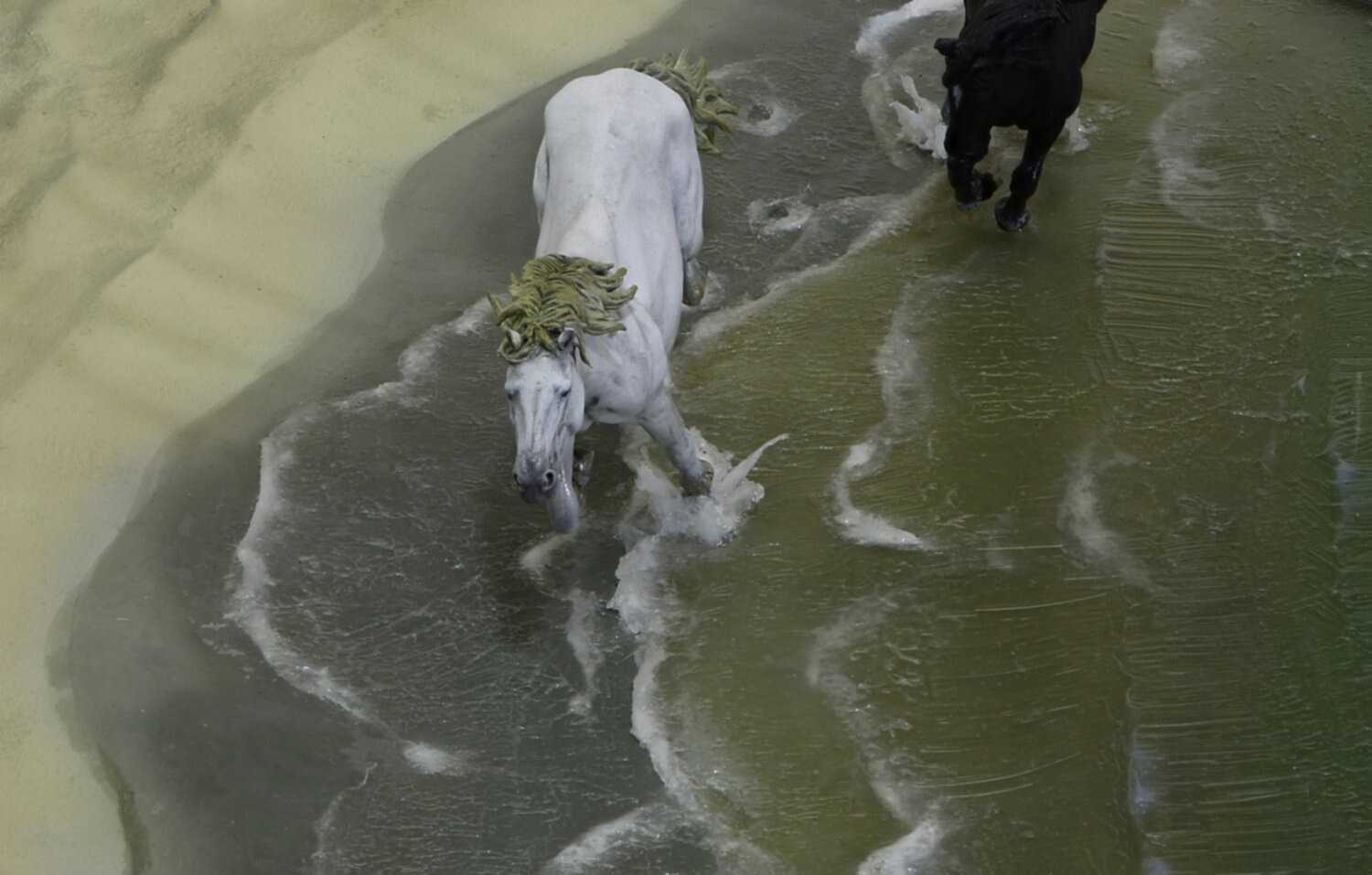 ModelGeek Dio 1/48 2 chevaux qui courent sur une plage. 6h5o