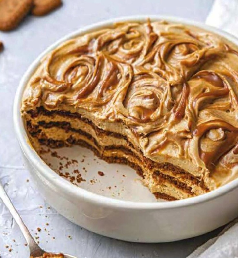 Tiramisu chicorée/spéculoos 9ajq