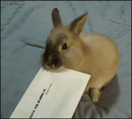 https://zupimages.net/up/23/36/9i5z.gif
