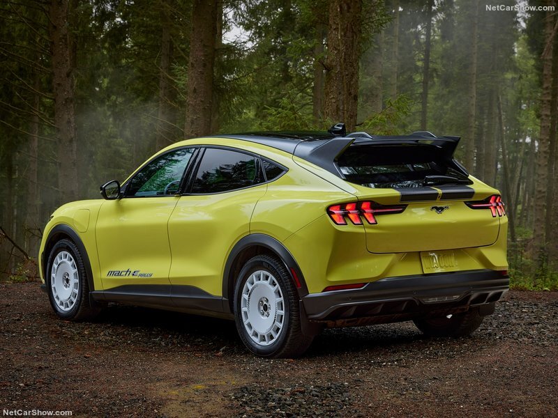 2020 - [Ford] Mustang Mach-E - Page 10 Alqe