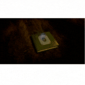 9ruz.gif