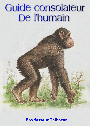 https://zupimages.net/up/23/37/fn2j.jpg