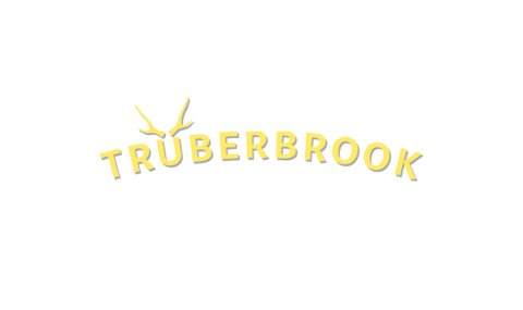 [GOG] Trüberbrook offert 3aox