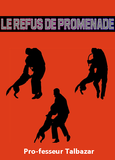 https://zupimages.net/up/23/39/o36n.jpg
