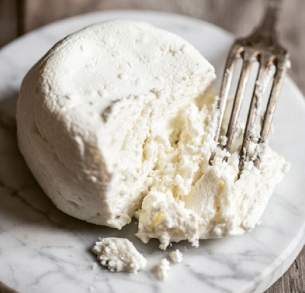 Fromage de chèvre frais 1hht