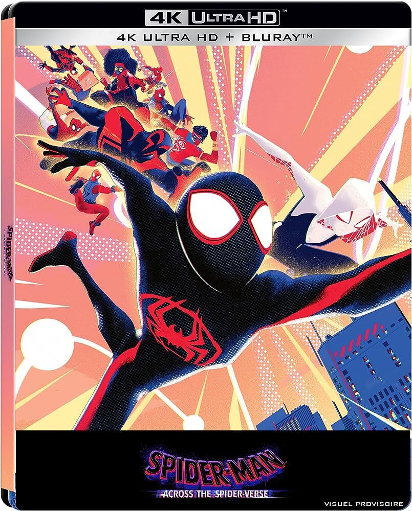 Spider-Man : Across The Spiderverse