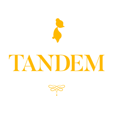 [EPIC] Tandem: a Tale of Shadows offert 62or