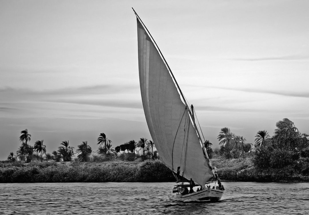  Ouvert à tous - Votre photo du jour - Page 16 Ie8b