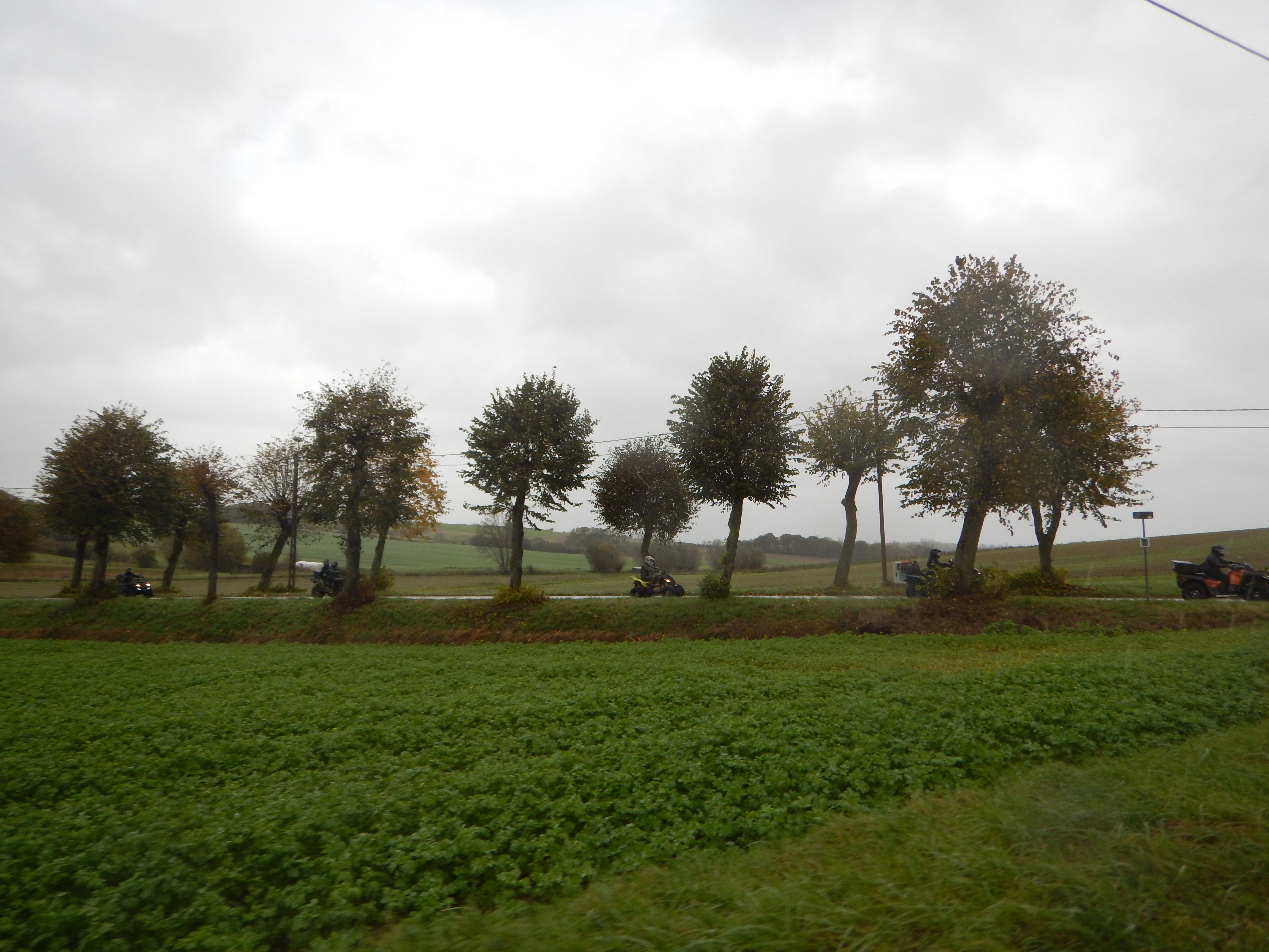 Samedi 04/11/2023 - Entre Brabant Wallon et Brabant Flamand au SE de BXL - Page 2 C5cn