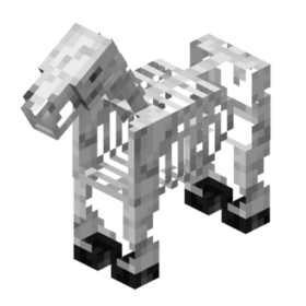 cheval squelette