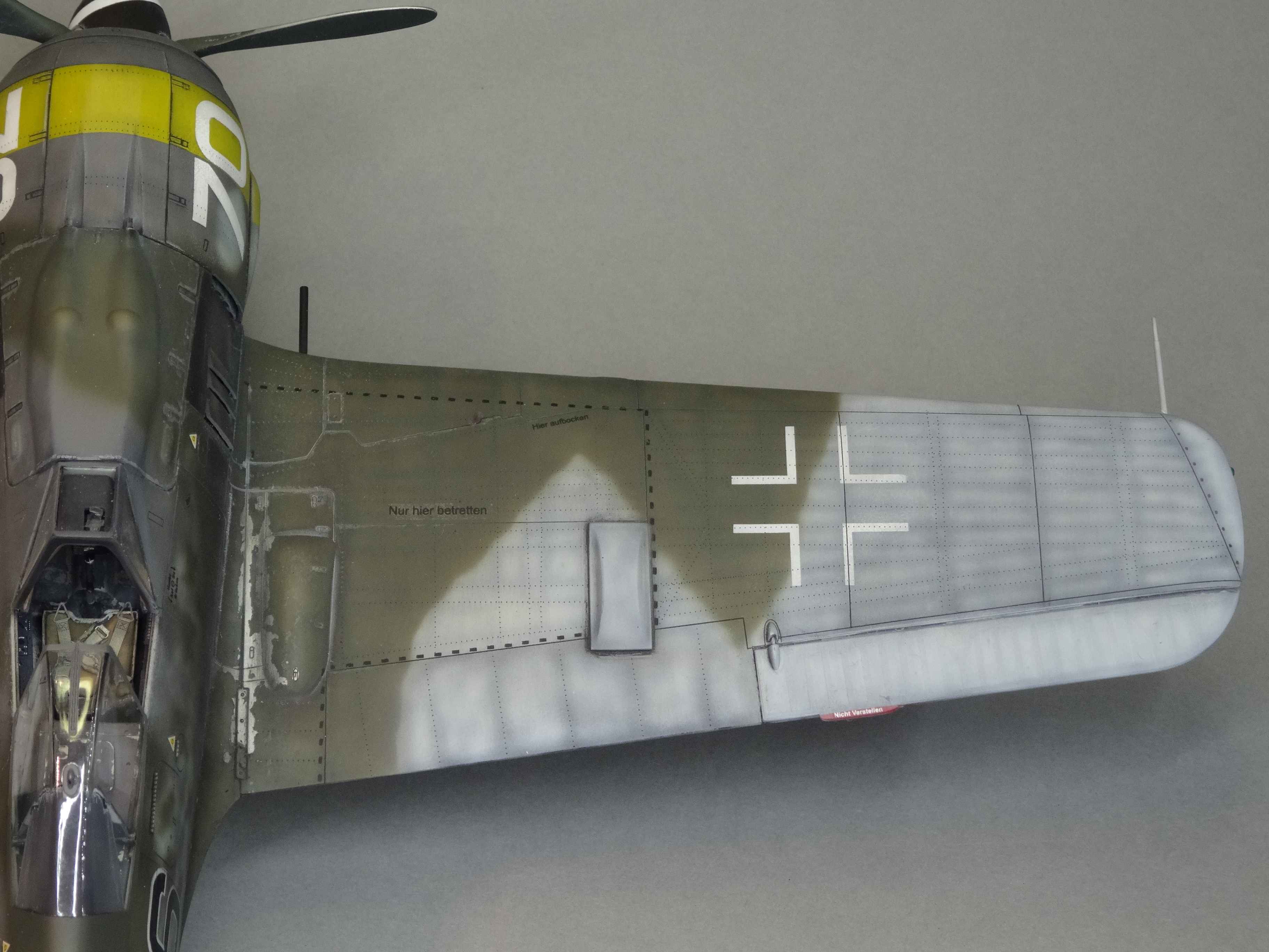 [Revell] 1/32 - Focke-Wulf Fw 190 F-8   6./SG 10   (fw190) 65u5