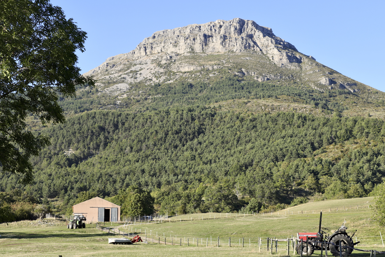 Le long du Verdon. Septembre 2023 - Page 8 4eu1