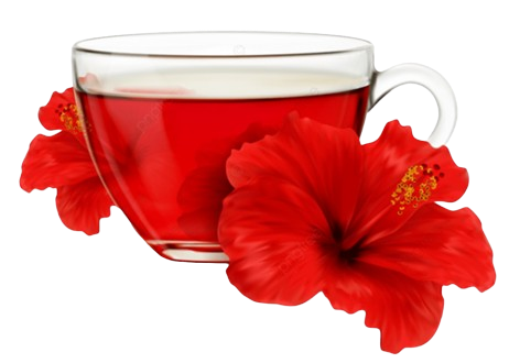 Jus bissap (Hibiscus) N0rs