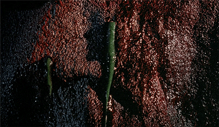 https://zupimages.net/up/24/01/eqxd.gif