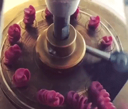https://zupimages.net/up/24/02/18yn.gif
