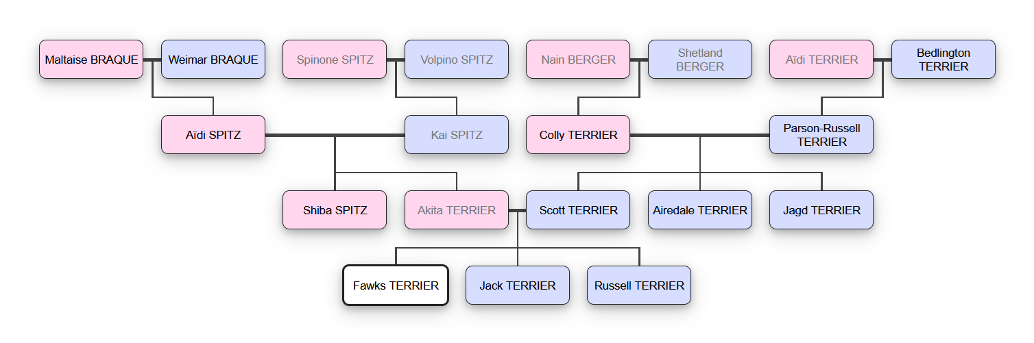 [Taking Notes] Fawks Terrier - Un flair d'enfer ! Jd5i