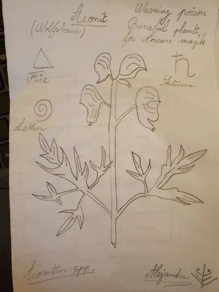 Cours de botanique n#2 - Page 4 17lb