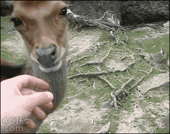 https://zupimages.net/up/24/03/kzew.gif