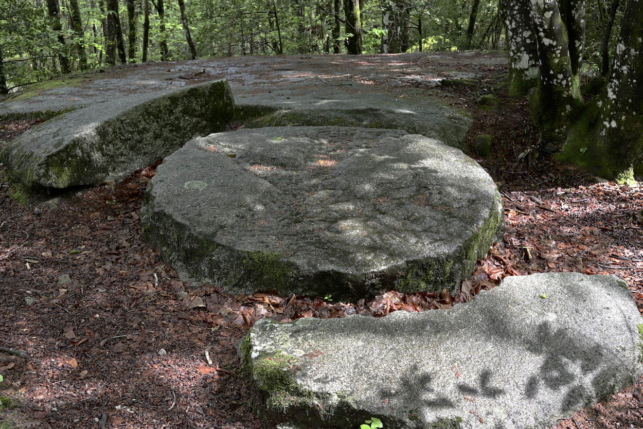 En route pour les Cevennes, le Sidobre, ..... Les Landes, les Pyrénées, mon sud-ouest  !  - Page 4 84hu