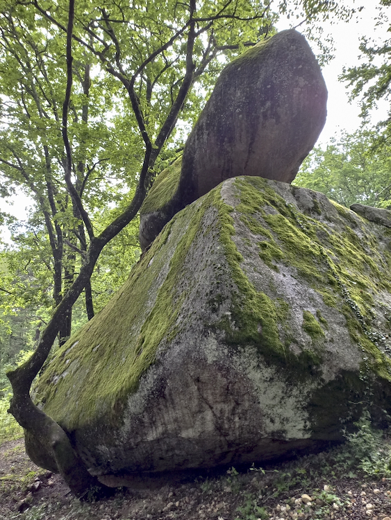 En route pour les Cevennes, le Sidobre, ..... Les Landes, les Pyrénées, mon sud-ouest  !  - Page 4 Jhbi