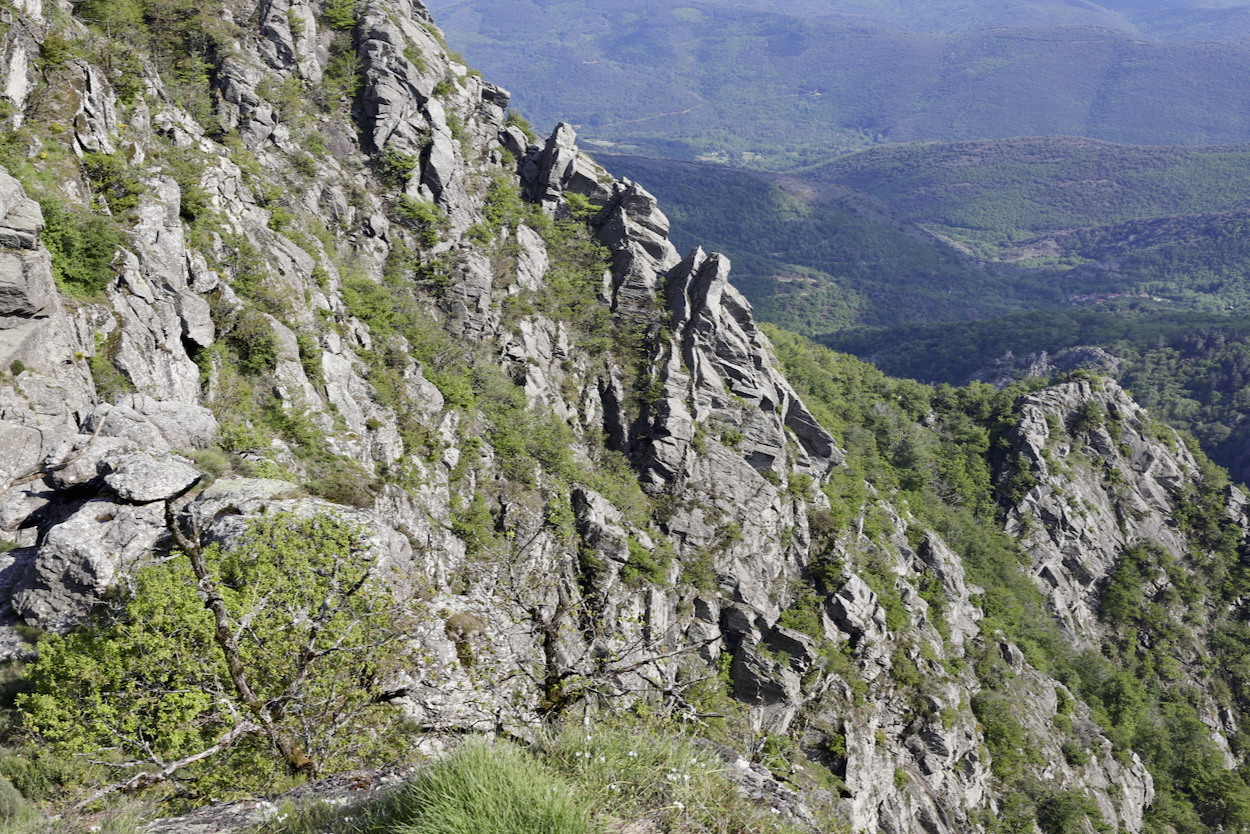 En route pour les Cevennes, le Sidobre, ..... Les Landes, les Pyrénées, mon sud-ouest  !  - Page 5 Lhte