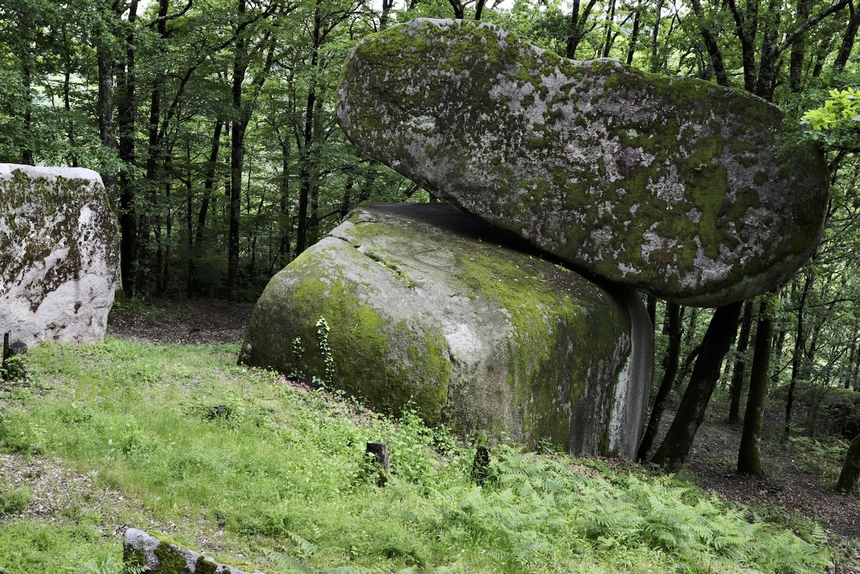 En route pour les Cevennes, le Sidobre, ..... Les Landes, les Pyrénées, mon sud-ouest  !  - Page 4 Yr9f