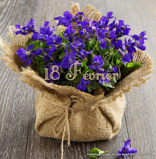 Mamie Josiane - Page 586