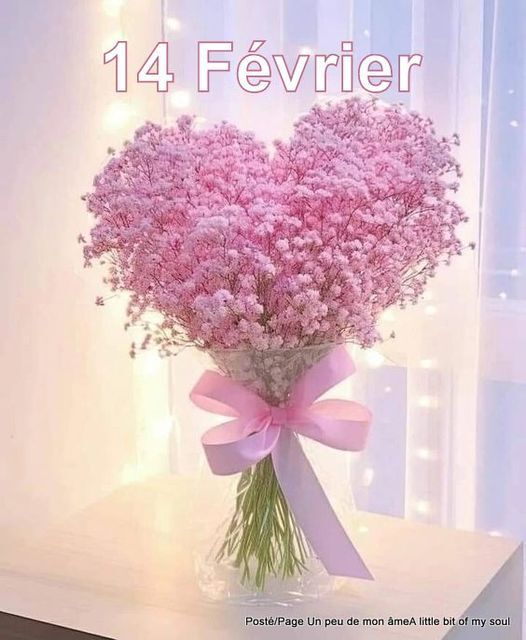Bonjour 14 Février , Saint Valentin en Fleurs