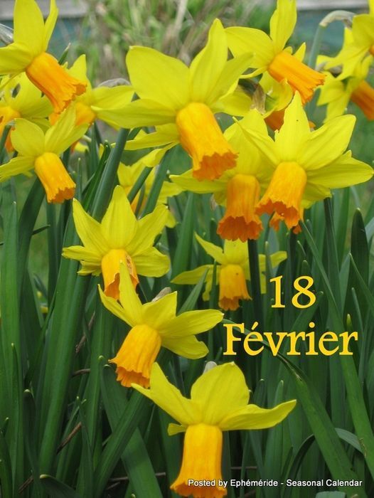 Mamie Josiane - Page 586